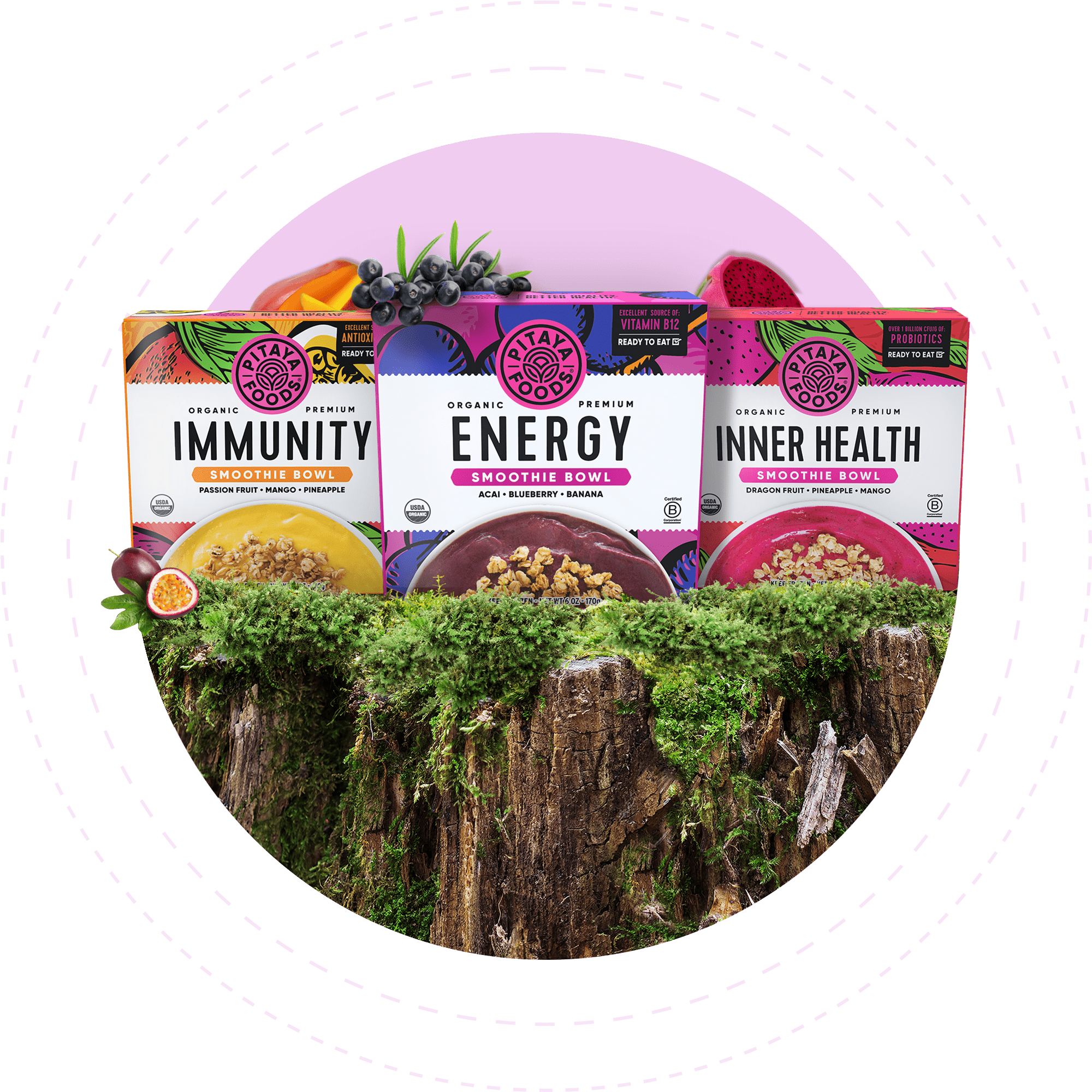 Variety of Pitaya smoothie bowl flavors